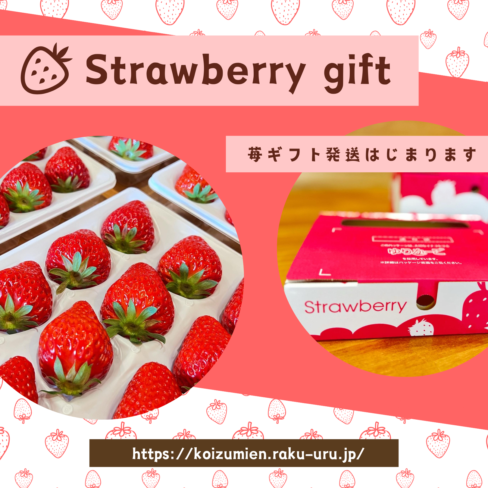 ◆苺◆同梱あり 苺きらら10個入 あまおうスイーツ ホイップチョコレート サンド